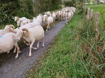 Percorso Marcia Bedous - bedous lees  athas  - Photo