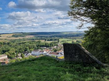 Trail Walking Joinville - dans joinville depuis le Château du Haut - Photo