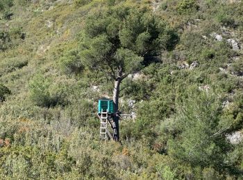 Randonnée Marche Allauch - la feve - Photo