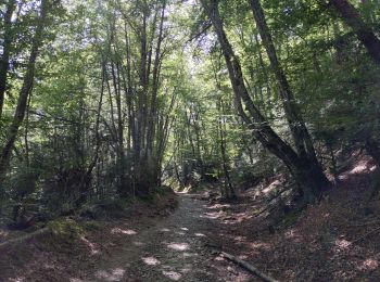 Trail Walking Erro - Compostelle - Camino Frances : J3 de Espinal à Zabaldika - Photo