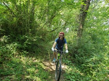 Tocht Mountainbike Villefranche-de-Rouergue - villefranche  - Photo