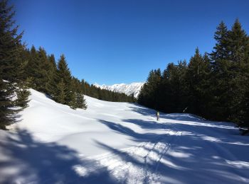 Tocht Sneeuwschoenen Manigod - La Croix Colomban - Photo