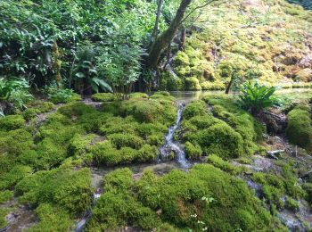 Trail Walking Bourg-de-Sirod - Perte de l'Ain 15.7.24 - Photo