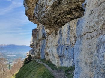Randonnée Marche Collonges-sous-Salève - Le Coin-Grottes d'Orjobet-La Corraterie-Grande Gorge-Le Coin - Photo