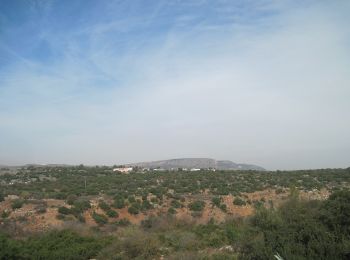 Trail On foot Mevoot HaHermon Regional Council - מצוק רמות נפתלי - Photo