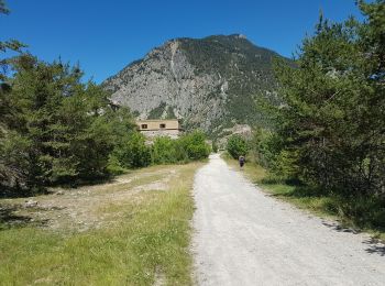 Trail Walking Briançon - Briançon le fort des têtes - Photo