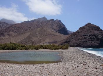 Tocht Te voet La Aldea de San Nicolás - Ruta Playa de El Puerto - Photo