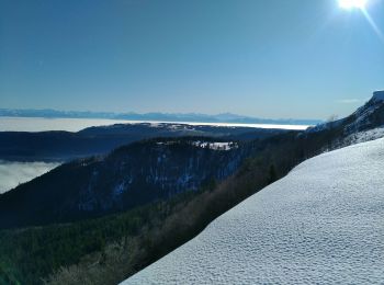 Tocht Sneeuwschoenen Longevilles-Mont-d'Or - Mont d'Or - Morond - Photo