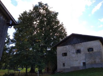 Tour Zu Fuß Amblar-Don - (SI C08) Malga Romeno (bivio Rifugio Oltradige) - Monte Roen - Giogo di Coredo - Passo Predaia - Corno di Tres - Sella di Favogna (Fenner Joch) - Favogna - Photo