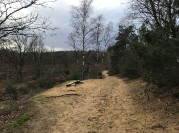 Trail Walking Maaseik - Opoeteren: rond Oudsberg - Photo