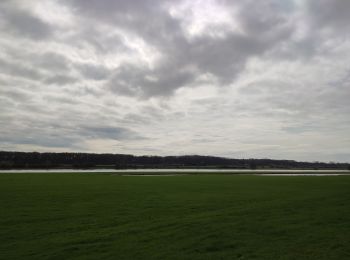 Randonnée Vélo électrique Horst aan de Maas - Het Meerdal - Maas  - Photo