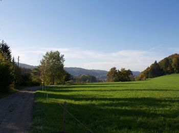 Trail On foot Winterthur - Hardau - Blindensteg - Photo