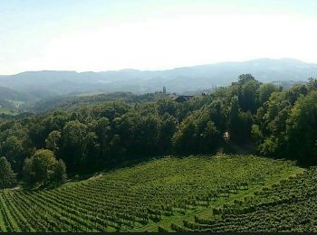 Tour Zu Fuß Leutschach an der Weinstraße - Glanzer Hoftour (Variante 2 - Langvariante) - Photo