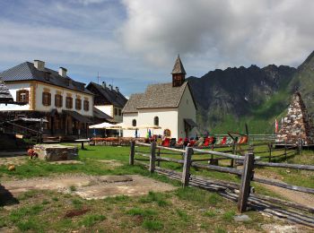 Percorso A piedi Racines - Sentiero didattico Monteneve - Photo