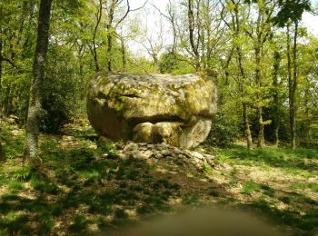Tour Wandern Toulx-Sainte-Croix - les pierres jaumatres (Toulx st croix) - Photo