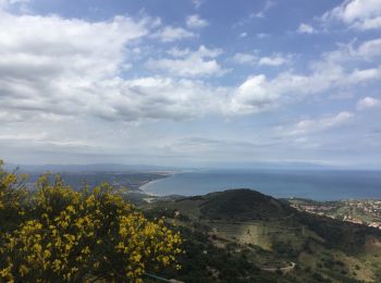 Tour Wandern Collioure - Tour de Madaloc - Photo