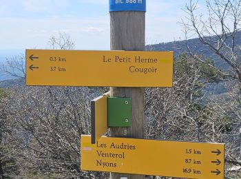 Randonnée Marche Teyssières - balade avec  jeff  - Photo