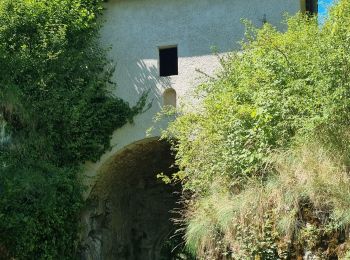 Excursión Senderismo Bourg-de-Sirod - Les pertes de l'Ain 12 juillet 2022  - Photo