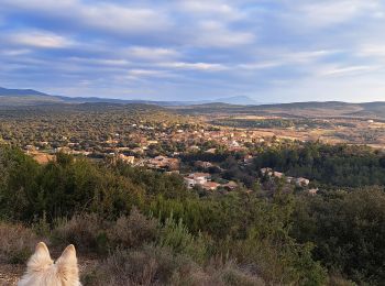 Tour Wandern La Boissière - Boucle de la Boisière - Photo