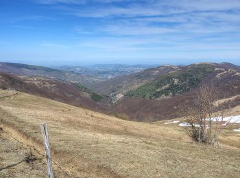 Tocht Te voet Fabbrica Curone - Salogni – Monte Chiappo - Photo