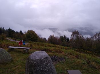 Trail Walking Sapois - haut du tot oct rose - Photo