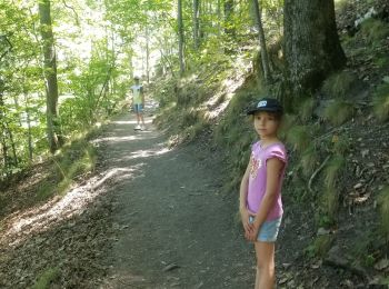 Tocht Stappen Thuès-Entre-Valls - Gorges de la garanca - Photo