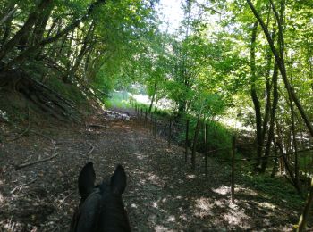 Trail Horseback riding Aiton - boucle Etelaine depuis Aiton - Photo