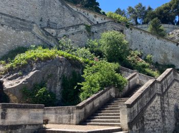 Trail Walking Avignon - Avignon Vieille ville - Photo