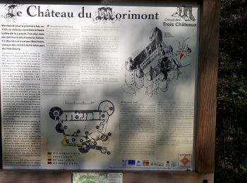 Trail Mountain bike Bendorf - Château de Morimont - Photo