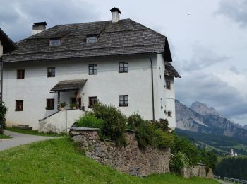 Tour Zu Fuß St. Lorenzen - IT-12A - Photo