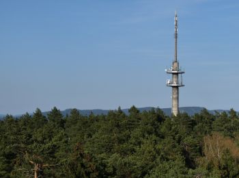 Tour Zu Fuß Kronach - Kaltbucher Weg KC 12 - Photo