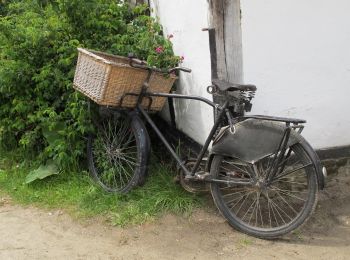 Randonnée A pied Genk - Bokrijk Gele zeshoek (voor rolstoel/buggy) - Photo