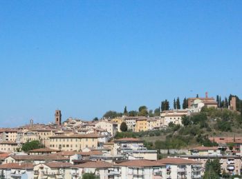 Excursión A pie Castelfiorentino - Dolce campagna antiche mura 10 - Photo