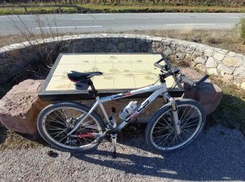 Trail Mountain bike Draguignan - 20220208 vtt route + chemins  - Photo
