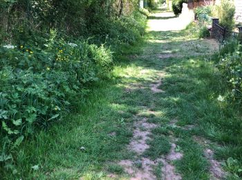 Trail Walking Anthisnes - Vien adeps 11Km - Photo