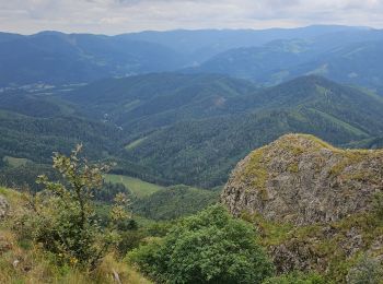 Excursión Senderismo Bitschwiller-lès-Thann - Arnaud et noemie - Photo