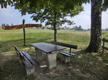 Tocht Te voet Falkenberg - Falkenberg Rundwanderweg 4 - Photo