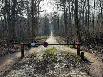 Randonnée Marche Etterbeek - De Merode à Montgomery en passant par la forêt de Soignes et plein d'étangs - Photo