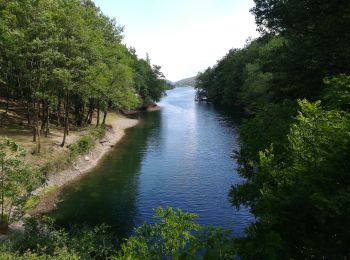 Trail Walking Villefort - Lac Villefort la Garde Guerin, lac de Villefort.(31-05-2020) - Photo