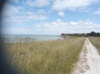 Tour Wandern Saint-Denis-d'Oléron - St Denis d'Oléron - Photo