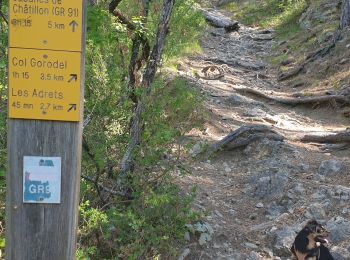 Trail Walking Châtillon-en-Diois - chatillon en Diois. les oursieres  - Photo