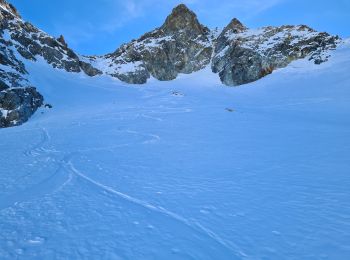 Percorso Sci alpinismo Le Monêtier-les-Bains - glacier reou d arsine  - Photo