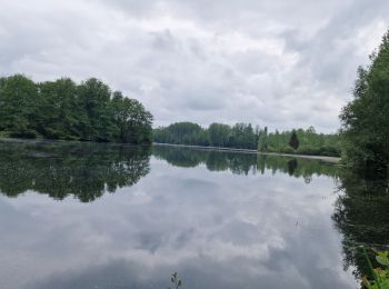 Tour Mountainbike Mesnil-Saint-Laurent - mesnil - Vendeuil  - Photo