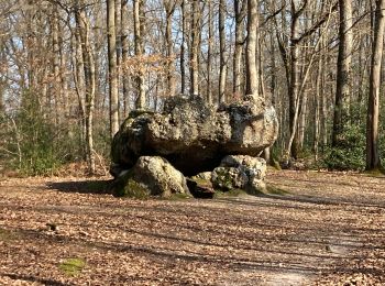 Trail Walking Les Ventes - La pierre courcoulé - Photo