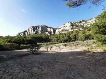 Excursión Senderismo Cheval-Blanc - Gorges de Régalon - Photo