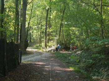 Trail Walking La Membrolle-sur-Choisille - 2020.09.17-8.1km-La Membrolle - Mettray - La Membrolle - Photo