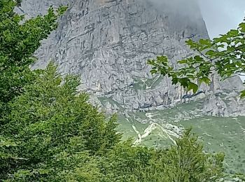 Trail Walking Château-Bernard - sous pas Balme de Arzelier - Photo