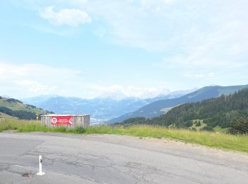 Tour sport Val-d'Illiez - Vtt électrique aux Portes du soleil  - Photo