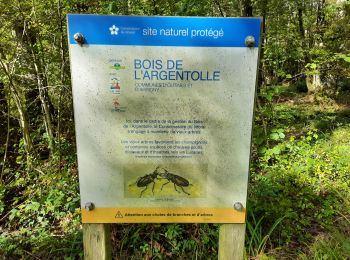 Trail Walking Giffaumont-Champaubert - Bois de l'Argentolle  - Photo