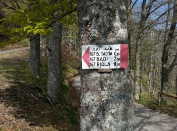 Percorso A piedi Cantagallo - Sentiero CAI 17 - Sez. Prato - Photo